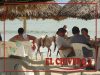 El Chivero Bucerias Restarant Beach Bar