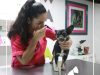 wawao | veterinario | vet | perro | mascotas | dog | baño | accesorios | huesos | limpieza | puerto vallarta