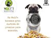 wolfs | veterinario | vet | perro | mascotas | dog | baño | accesorios | huesos | limpieza | puerto vallarta | veterinaria