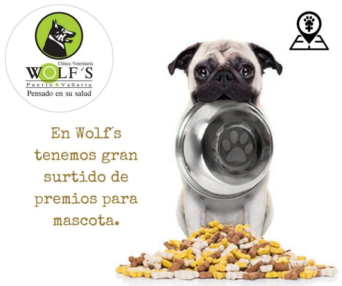 wolfs | veterinario | vet | perro | mascotas | dog | baño | accesorios | huesos | limpieza | puerto vallarta | veterinaria